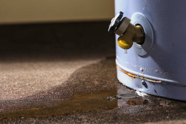 Reliable Greenville, GA Water damage restoration Solutions