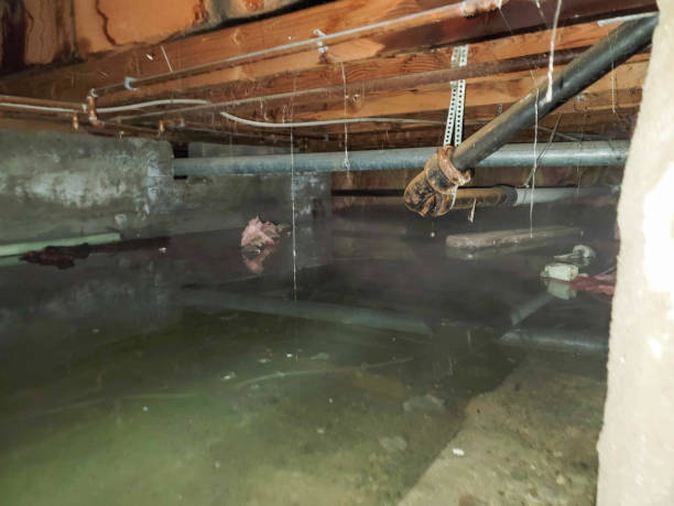 Carpet water damage restoration in Greenville, GA