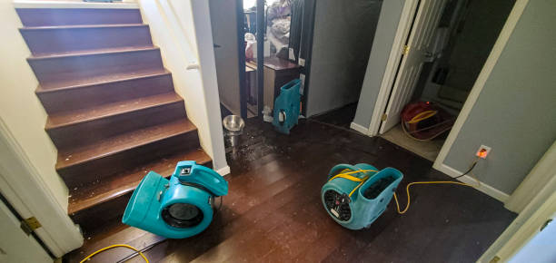 Best Residential water damage restoration  in Greenville, GA