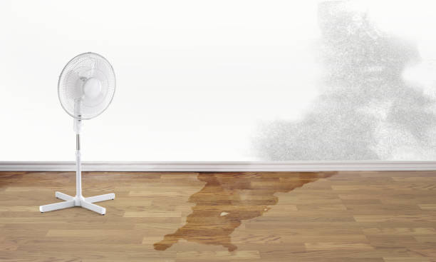 Best Flooded house restoration  in Greenville, GA