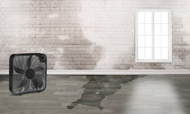 Best Emergency water damage restoration  in Greenville, GA