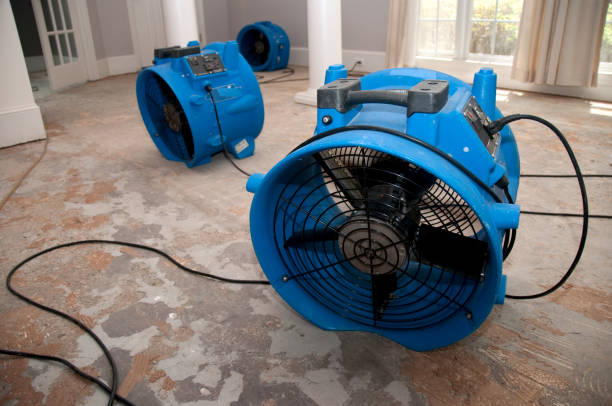 Best Commercial water damage restoration  in Greenville, GA