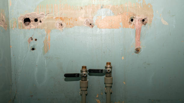 Best Basement water damage restoration  in Greenville, GA