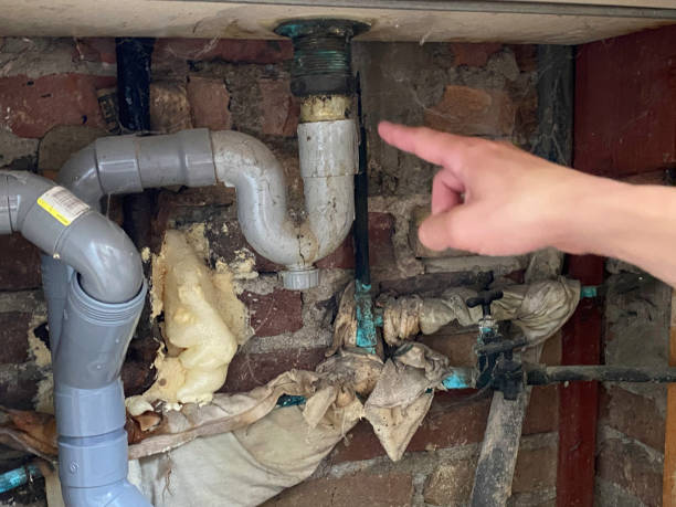 Best Ceiling water damage repair  in Greenville, GA