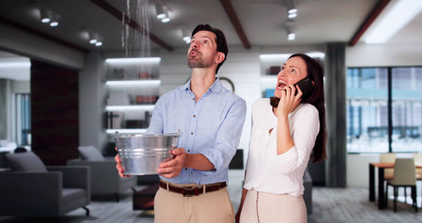 Best Ceiling water damage repair  in Greenville, GA
