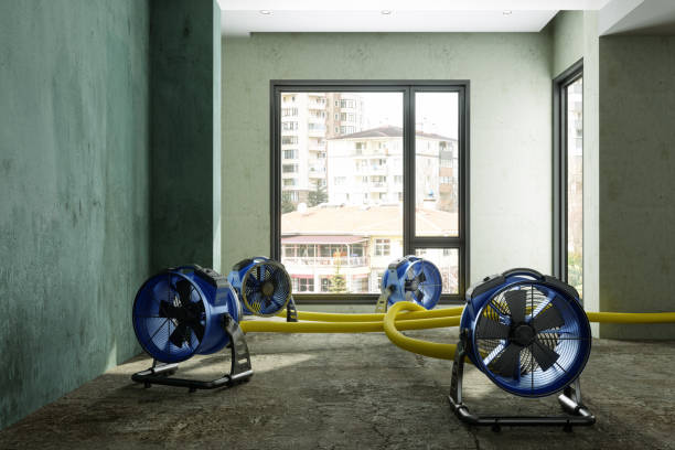 Best Water damage cleanup near me  in Greenville, GA