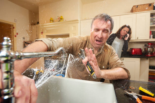 Best Carpet water damage restoration  in Greenville, GA
